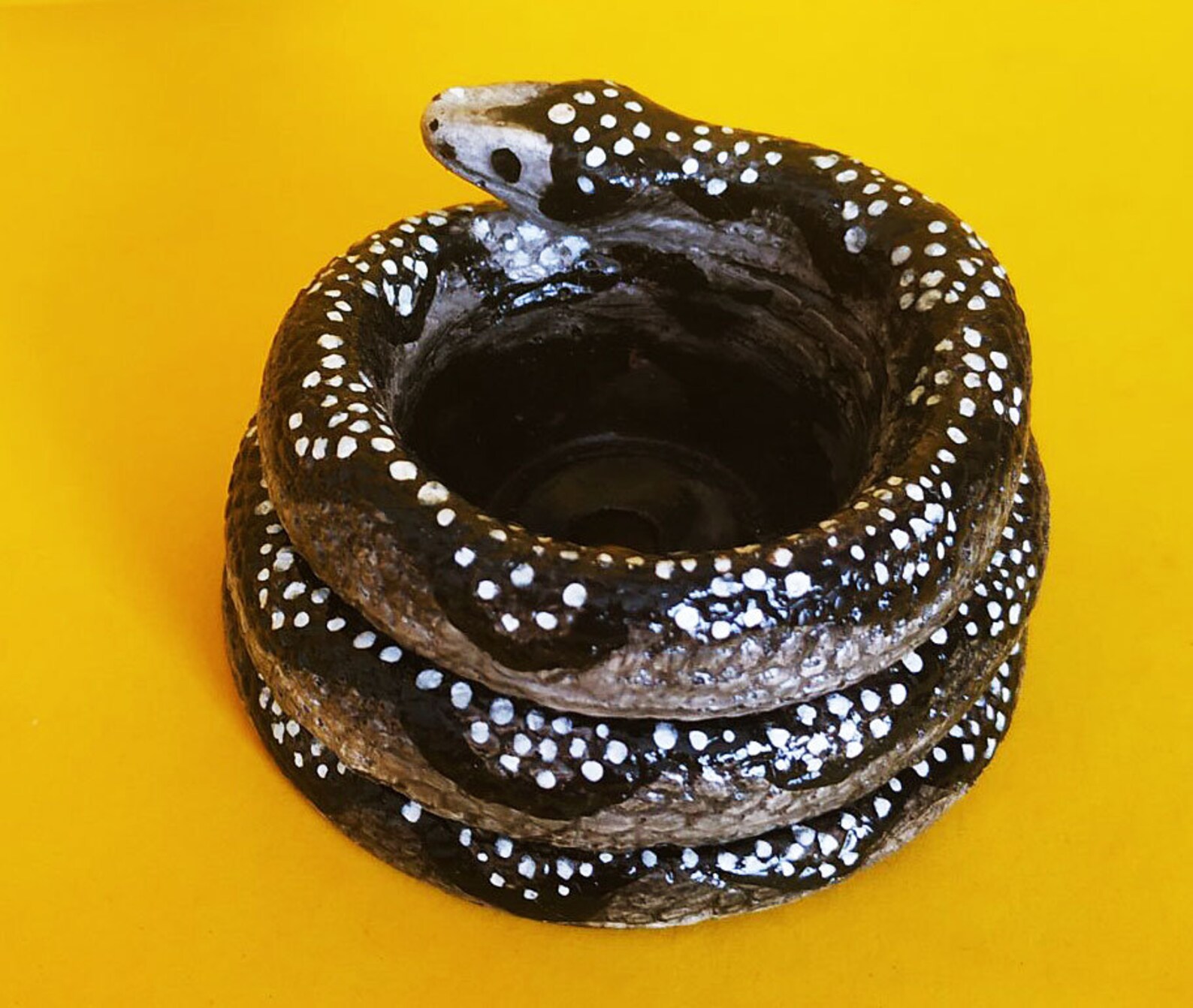 Black Snake. Pot for Succulents and Cacti in the Form of a Etsy