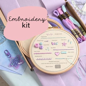 Kit di ricamo di 14 giorni / Kit di ricamo completo per principianti / Kit di ricamo Pick and Stitch per principianti / Kit per imparare a ricamare