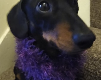 Deep Purple Eyelash Yarn Dog Scarf/cowl