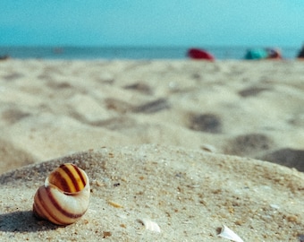 Auténtica arena de playa de Portugal, que captura la magia costera en cada grano, perfecta para manualidades, terrarios y creaciones inspiradas en la playa.