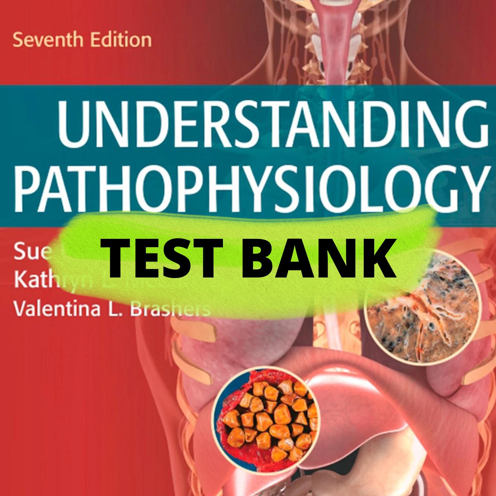 Understanding Pathophysiology 7th Edition Pdf Free Download Erline glock Understanding Pathophysiology 7th Edition Pdf Free Download Erline glock