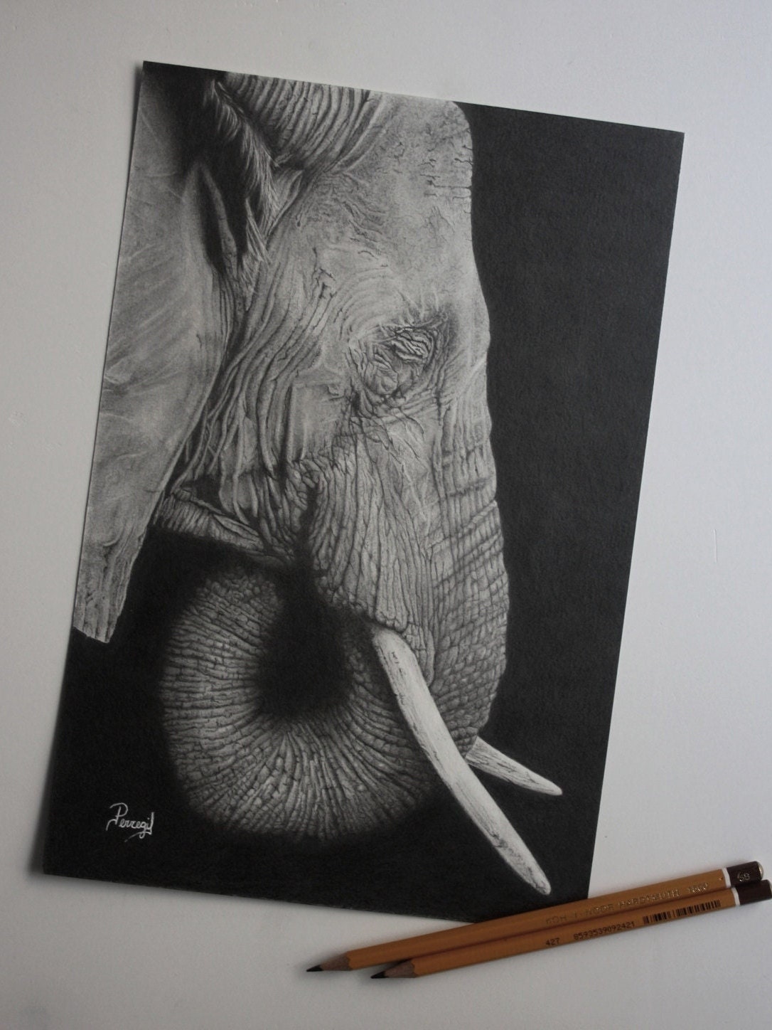 Realistic Drawing, Drawing Made With Graphite Pencils, Original Drawing,  Handmade Drawing 