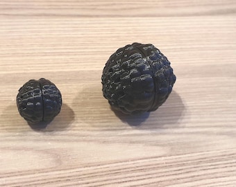 Tartufo per l'addestramento dei cani