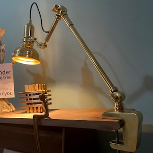 May include: A gold-toned adjustable desk lamp with a clamp base. The lamp has a round, frosted glass shade and a long, flexible arm.