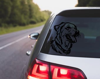 Dog/Cat