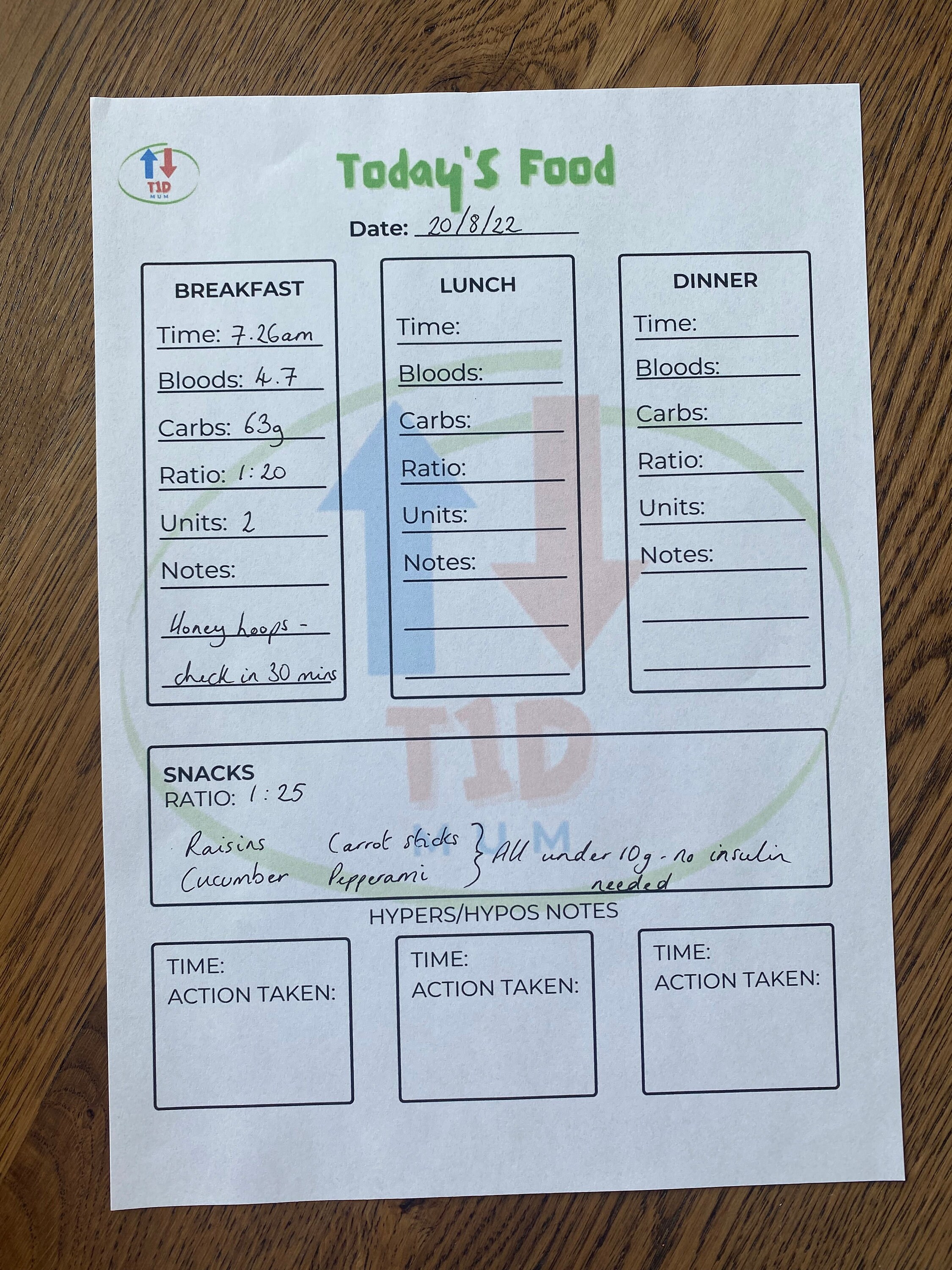 printable-daily-food-log-for-type-1-diabetes-etsy-australia