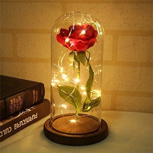 Rose in 2024 glass with lights