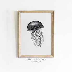 Jellyfish Linocut - Detailed Marine Life Illustration | Black and White Ocean Art | Nautical Decor | Vintage Aquatic Animal Drawing  Digital