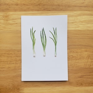 Carte postale Oignon de printemps