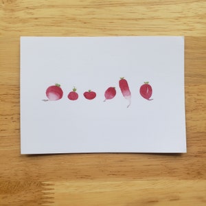 Radis Carte postale