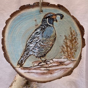 Handbemalte kalifornische Wachtelholzscheibenverzierung: Rustikale Wintervogelkunst