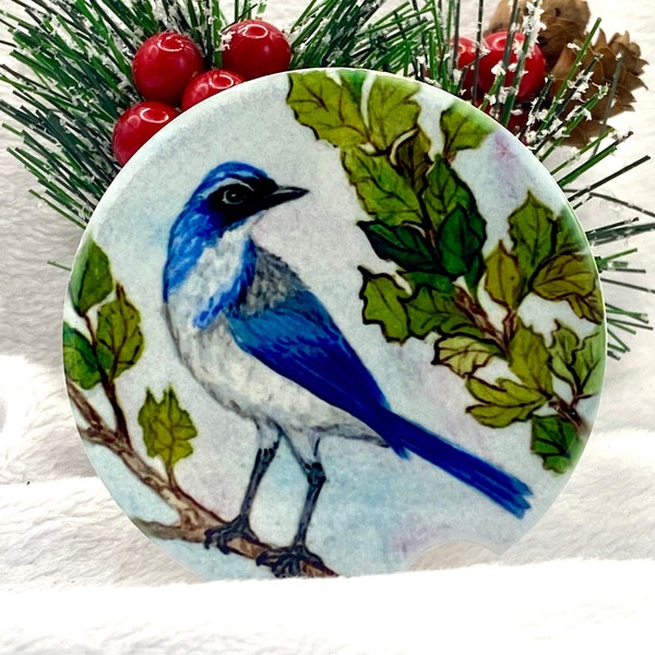 Scrub Jay, Ceramic Car Coaster, Sublimation of Original Watercolor,  Oak  Branches , Unique Gift Nature  Bird Collector, Bird Car Coaster.