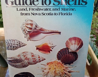 Guide to Familiar Seashells North America Harald Rehder 1988