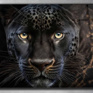 BLACK LEOPAR ANDA JAGUAR AND PANTHER