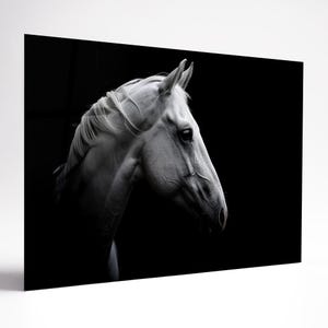 Art mural en verre trempé cheval blanc, animaux, art mural panoramique, dosseret en verre trempé, art mural extra large, décoration murale, cadeau de bureau à domicile