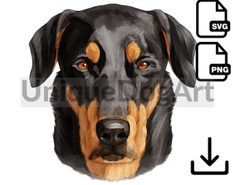 Unique Watercolor Beauceron PNG Clipart Sublimation Design Graphic Printable Dog Art Digital Instant Download