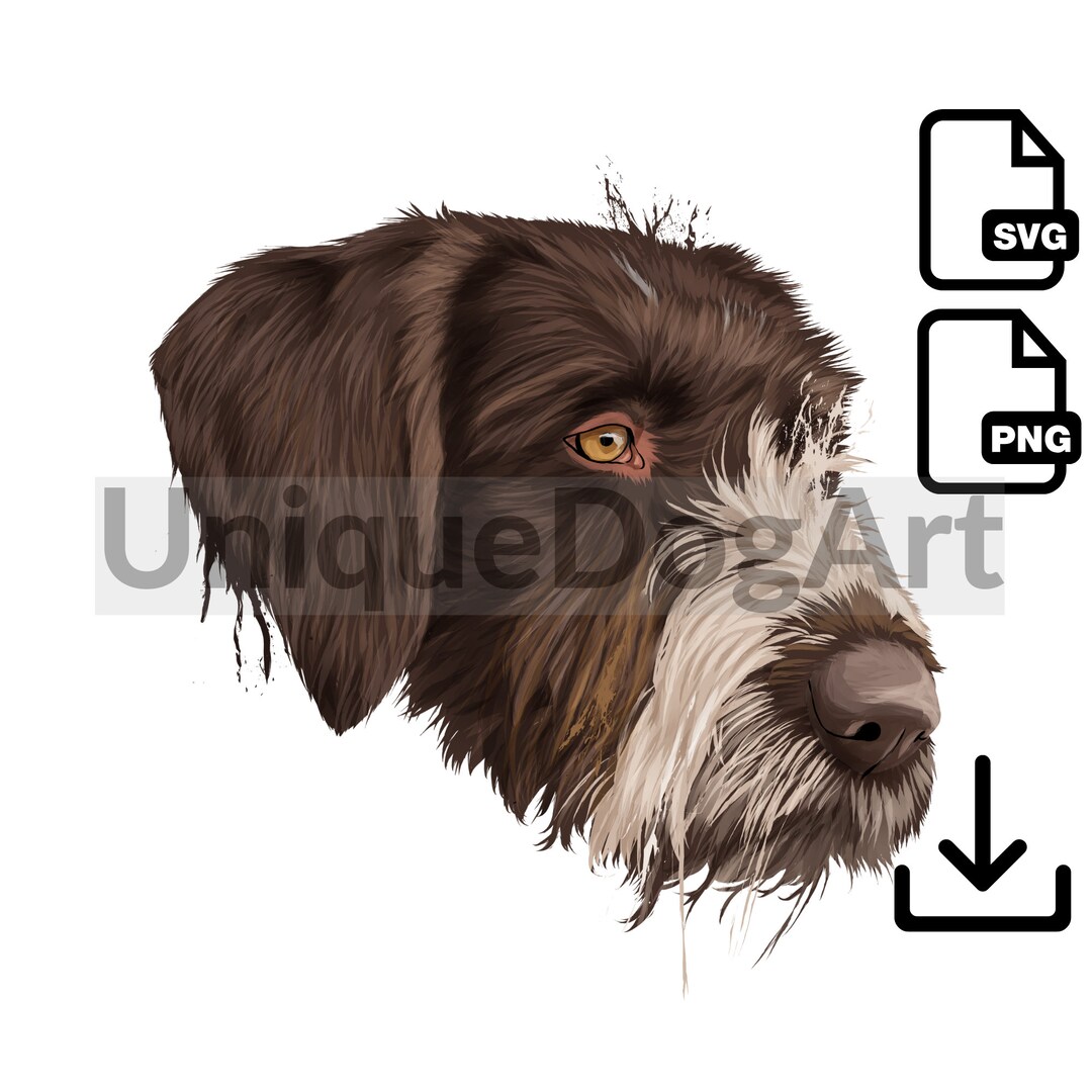 Unique German Wirehaired Pointer PNG Clipart Sublimation Design Graphic ...