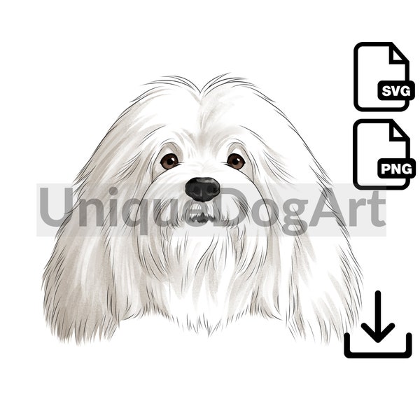 Coton De Tulear PNG Clipart  Unique Watercolor Dog Art Digital Download