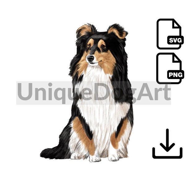 Hund Shetland Sheepdog PNG und SVG Datei