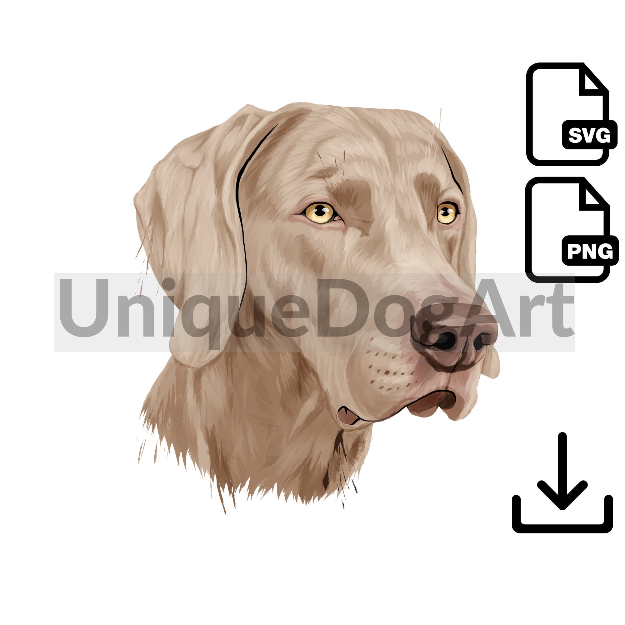 Unique Weimaraner PNG Clipart Printable Dog Art Digital Instant ...