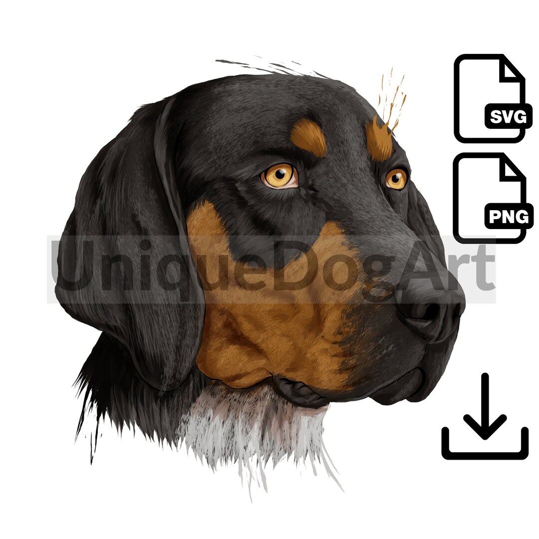 Bluetick Coonhound PNG Clipart Sublimation Design Graphic Printable ...