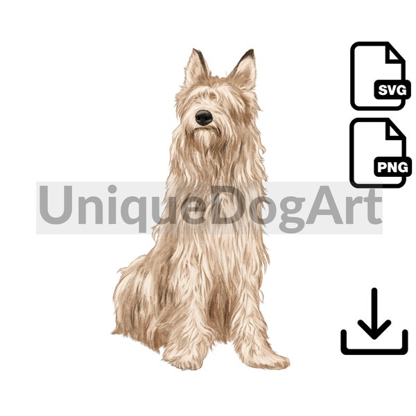 Unique Sitting Berger Picard PNG Clipart Sublimation Design Graphic Printable Dog Art Digital Instant Download