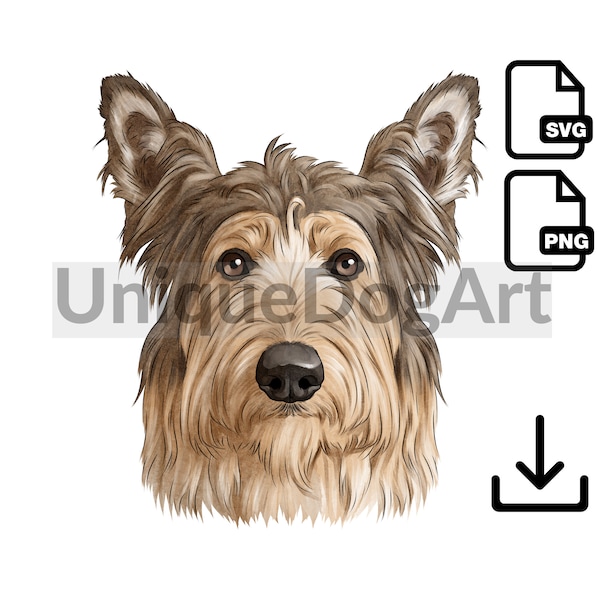 Unique Watercolor Berger Picard PNG Clipart Sublimation Design Graphic Printable Dog Art Digital Instant Download