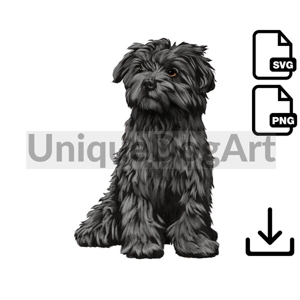 Maltipoo Png Clipart - Etsy