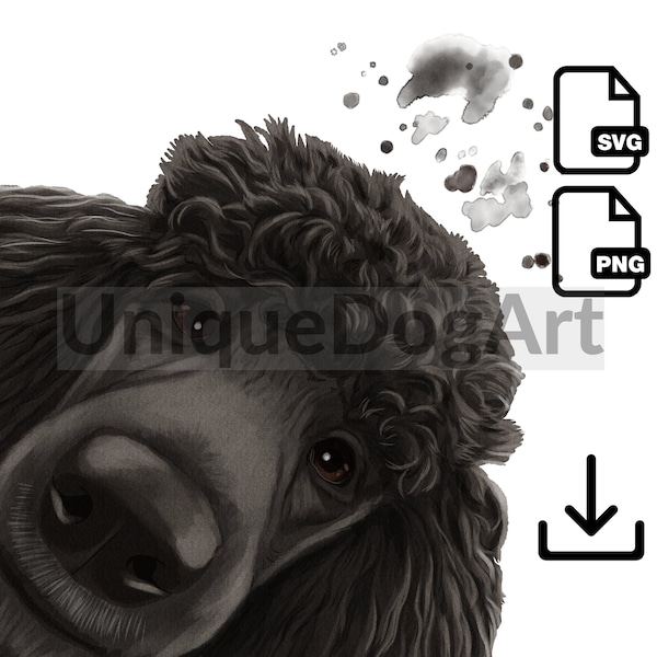 Unique Black Standard Poodle PNG Clipart  Sublimation Design Printable Dog Art Digital Instant Download