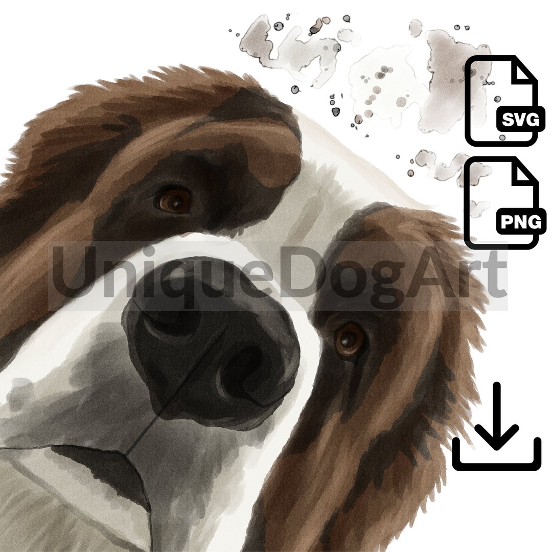 Unique Curious Saint Bernard PNG Clipart Sublimation Design Graphic Printable St. Bernard Dog ...