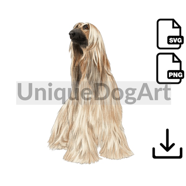 Unique Sitting Afghan Hound PNG  Clipart Sublimation Design Graphic Printable Dog Art Digital Instant Download