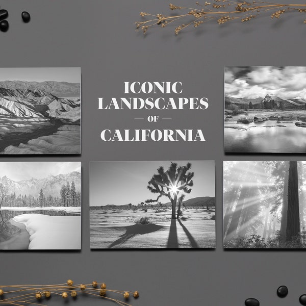 Classic California note cards / Set of 5 cards with envelopes / Redwoods National Park, Death Valley National Park