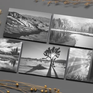 Cartes de correspondance californiennes classiques / Jeu de 5 cartes avec enveloppes / Parc national de Redwoods, parc national de la Vallée de la mort