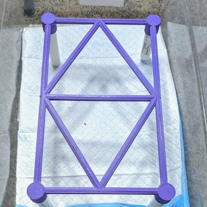Schlangenbarsch 26x15cm (D)