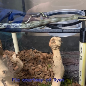Stackable 10x6in Snake/Reptile Perch w/Water Bowl Holder