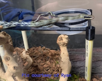Stackable 10x6in Snake/Reptile Perch w/Water Bowl Holder