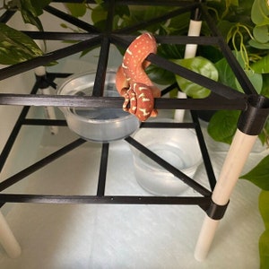 Reptile Perch 10 &quot;x 10&quot; Stapelbar