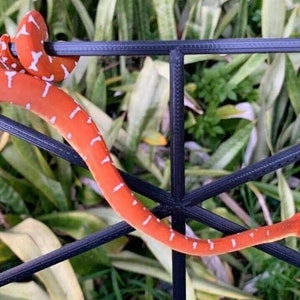 Schlange/Reptil 10 x 6 in Barch
