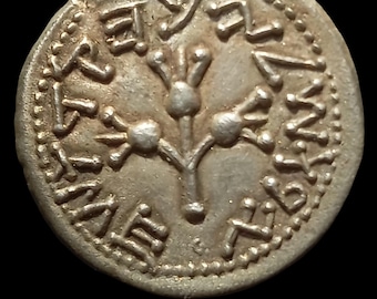 Réplica de la moneda SHEKEL de la Gran Revuelta de Judea (67-70 d. C.): antiguo símbolo de resistencia. Moneda histórica.