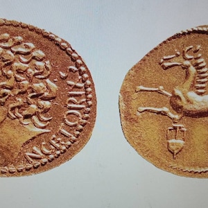 lot de 5 STATERE Gaulois reproductions monnaies antiques image 5