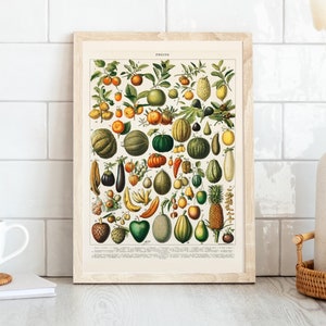 vintage Fruits et Légumes Tableau Fine Art Wall Art Print