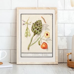 vintage Artichaut Fine Art Wall Print