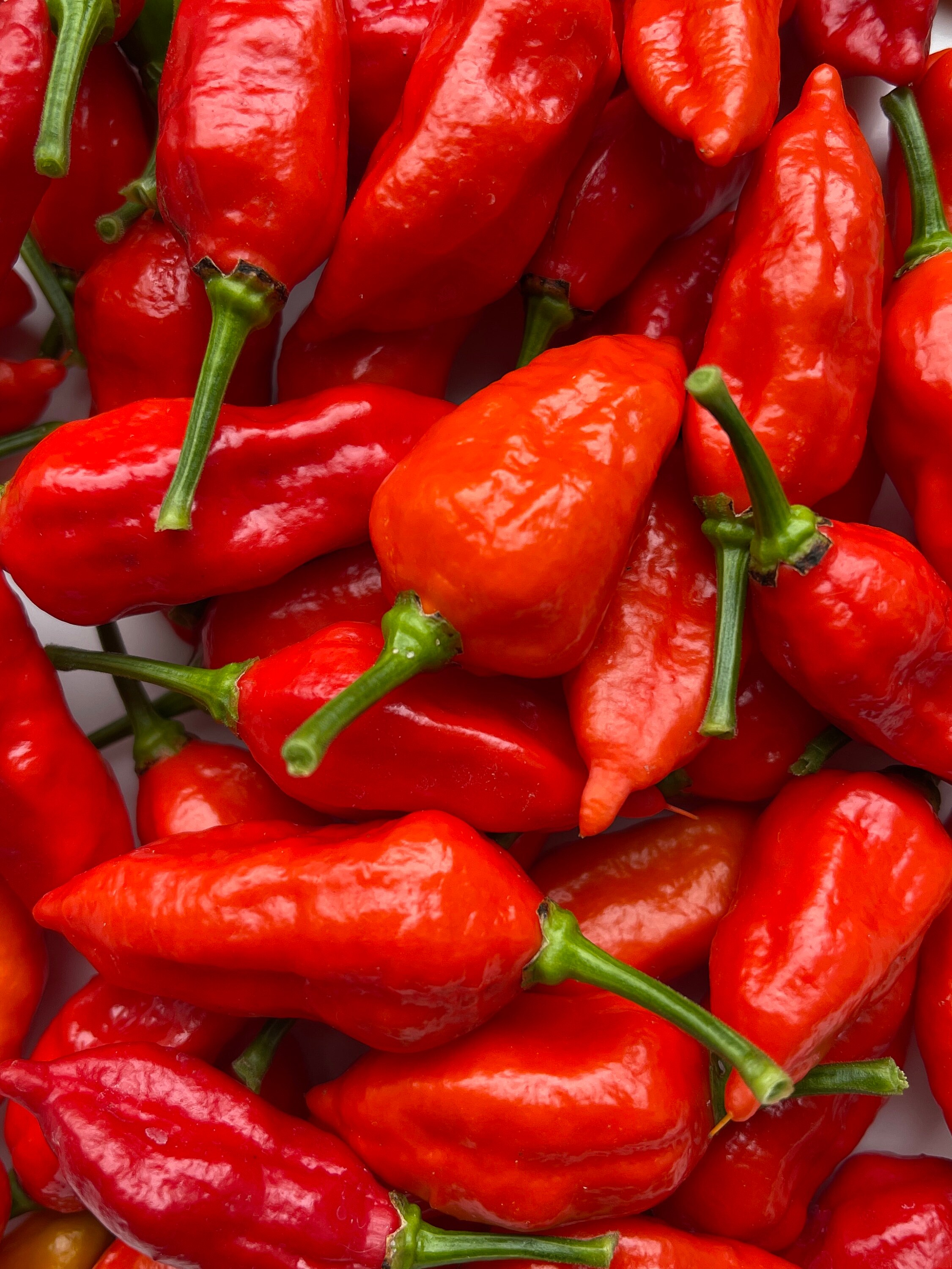 Ghost pepper / Buth Jolokia Pepper Seeds - 100% Organic & Made in Italy