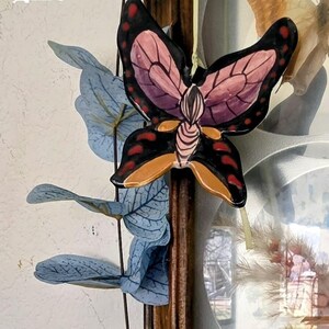 Vintage Butterfly & Dried Flower Glass Frame with Knobs