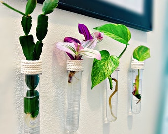 Magnetic Propagation Station Tubes, Floating Crystal Clear Plastic Propagation Lightweight, Wall Vase Plants Flower, Modern Propagation Vase