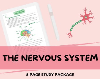 Il sistema nervoso - Guida agli appunti di studio di biologia di livello A