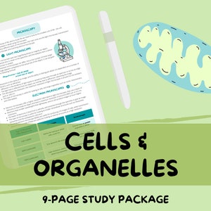 Könnte beinhalten: Eine grüne und gelbe Illustration einer Zelle mit einem blauen Organell im Inneren. Der Text "CELLS & ORGANELLES" ist in schwarzer Schrift auf grünem Hintergrund. Unter dem Text steht "9-PAGE STUDY PACKAGE" in weißer Schrift auf grünem Hintergrund.