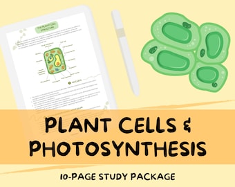 Cellule vegetali e fotosintesi - Guida agli appunti di studio di biologia di livello A