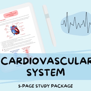 The Cardiovascular System - A-Level Biology Study Notes Guide