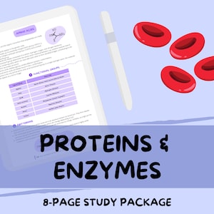 Proteins and Enzymes - A-Level Biology Study Notes Guide